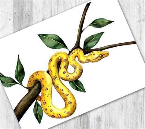 Snake Print Watercolor Snake Reptile Lover Snake Painting | Etsy