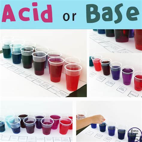 Acid or Base Experiment - Simple Living. Creative Learning