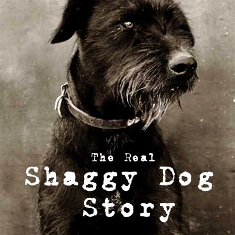 Stream The Real Shaggy Dog Story music | Listen to songs, albums, playlists for free on SoundCloud