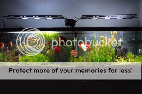 125 gallon fish tank project - "Nature's Beginnings" | Page 3 | The Planted Tank Forum