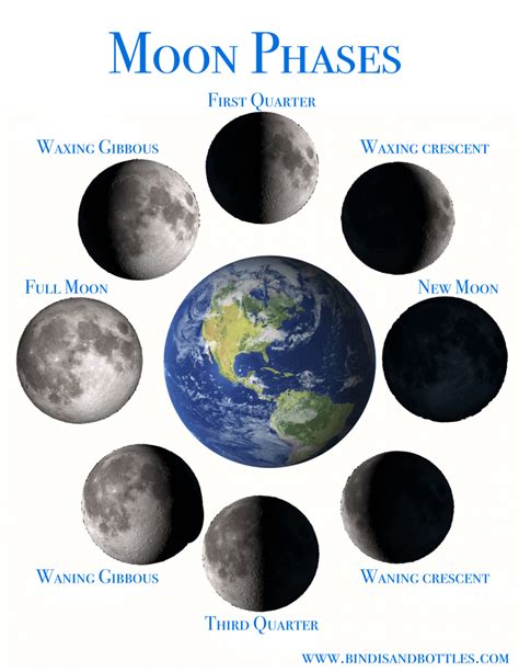 The moon phases and the tutoring of vegetables.