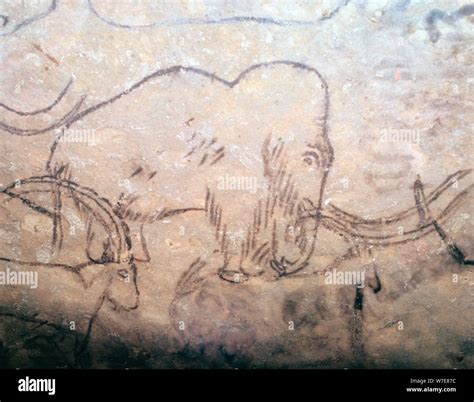 Ibex cave painting rouffignac hi-res stock photography and images - Alamy