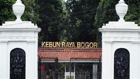 Kebun Raya Bogor : Primadona Icon Kota Bogor