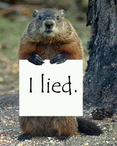 Groundhog Phil Lied Pictures, Photos, and Images for Facebook, Tumblr ...