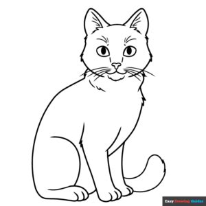 Realistic Cat Coloring Page | Easy Drawing Guides