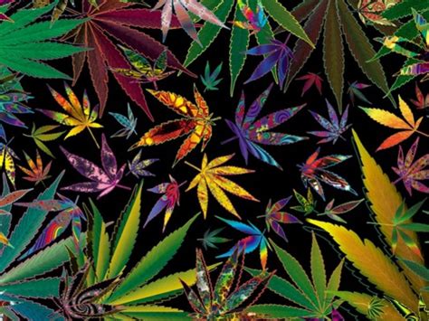 Trippy Weed Backgrounds Src Download Trippy Wallpaper - Trippy Weed Hd - 1920x1080 Wallpaper ...