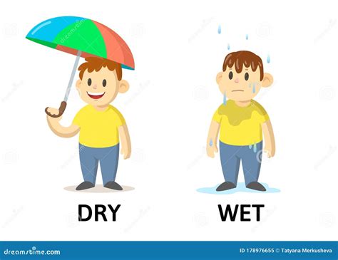 Words Dry and Wet Flashcard with Cartoon Characters. Opposite Adjectives Explanation Card. Flat ...