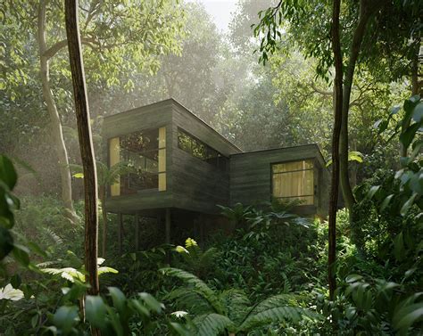 House in the Rainforest - Finished Projects - Blender Artists Community