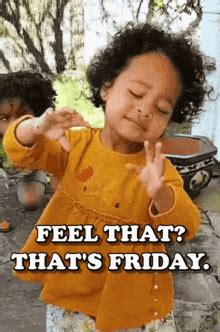 Feel That Thats Friday GIF - Feel That Thats Friday Friday Cat - Descubrir y compartir GIFs