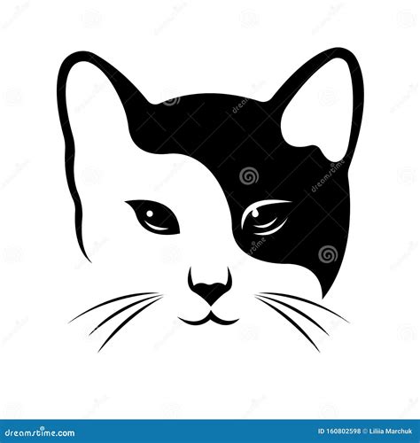 black and white cat art illustration