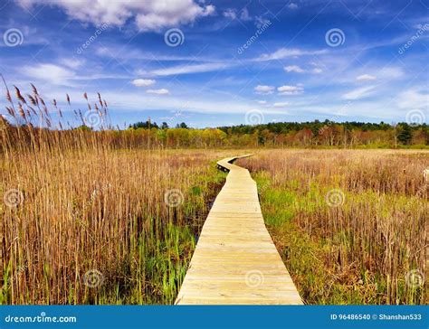 White Memorial Obelisk Wed Red Star On A Green Forest Background Stock Photo | CartoonDealer.com ...