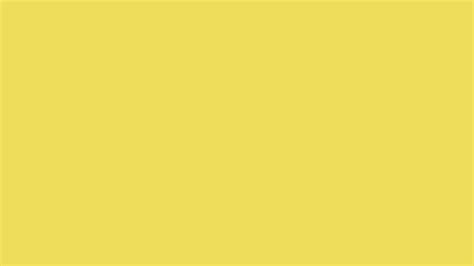 Dull Yellow Solid Color Background Image | Free Image Generator