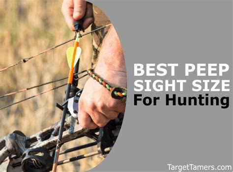 Compound Bow Peep Sight Sizes at markmbardeno blog