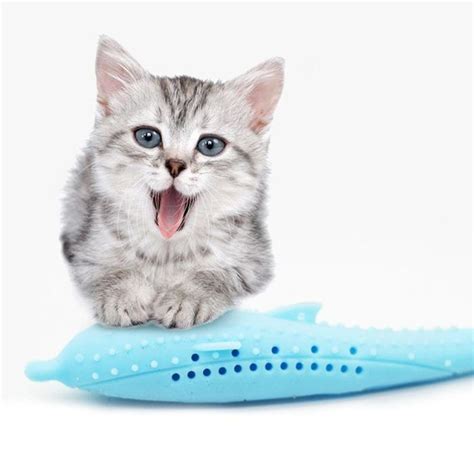 [SALE] Interactive Cat Toothbrush