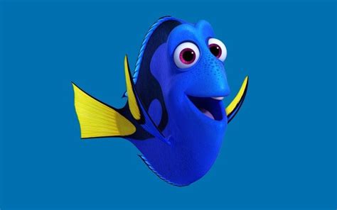 What kind of fish is Dory in Finding Nemo? Interesting details you should know - Briefly.co.za