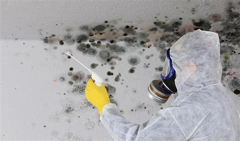 How To Remove Black Mould From Your Ceiling? - Bond Cleaning in Brisbane