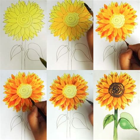 Sunflower Watercolor Painting Step By Step - SUNFLOWER