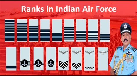 Indian Air Force Ranks and Insignia | Ranks in Indian Air Force | Indian Air Force Ranks in ...