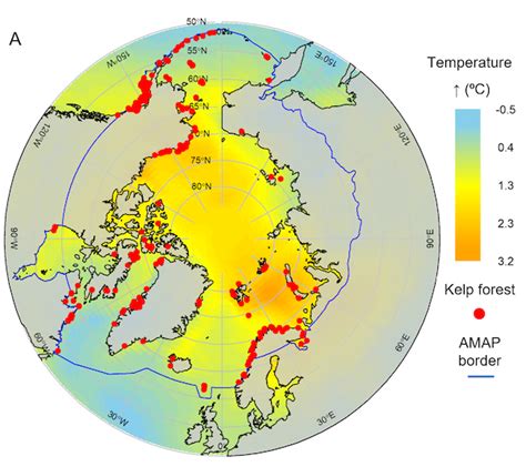 Arctic Ocean: climate change is flooding the remote north with light ...