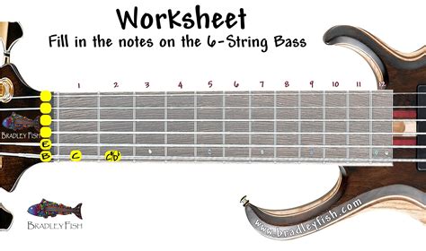 The Notes on the 6-String Bass Guitar! - Bradley Fish