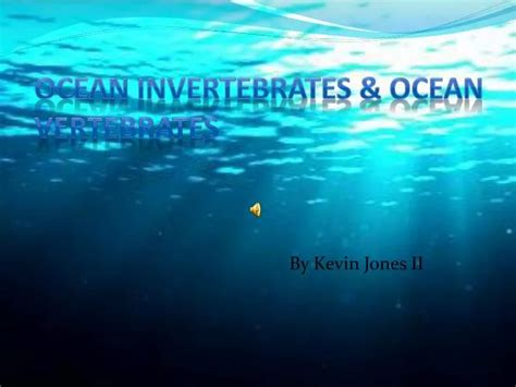 PPT - Ocean Invertebrates & Ocean Vertebrates PowerPoint Presentation - ID:2376208