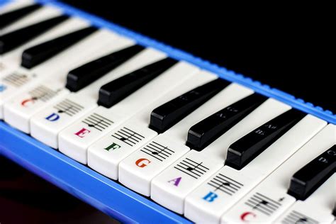 Piano Stickers for 32 Key Melodica-Transparent and Removable – Quality Music Gear