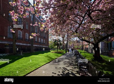 The Mount Street Gardens in Mayfair, London England United Kingdom UK Stock Photo - Alamy