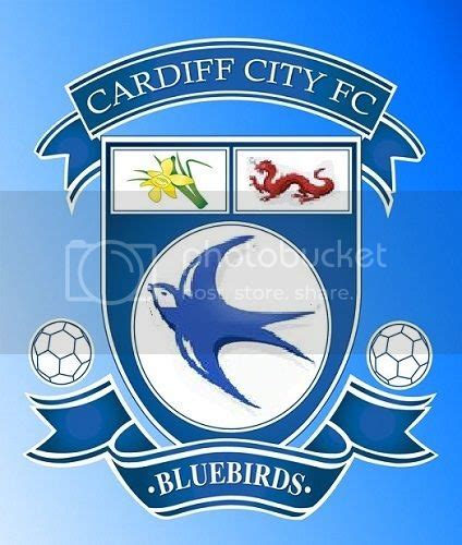 Cardiff City Football Forum | Cardiff City FC Messageboard • View topic - CARDIFF CITY FC ' NEW ...