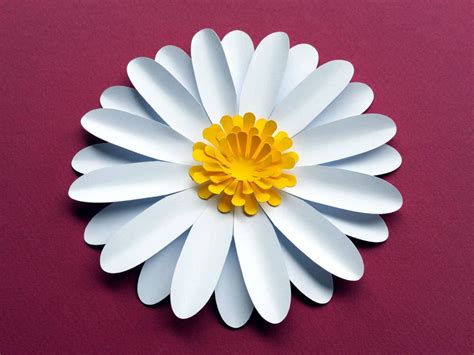 Easy DIY Daisy / Gerbera Paper Flower Template SVG and PDF to cut with a Cricut or Silhouette or ...