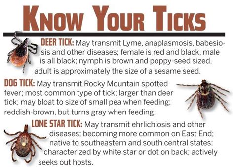 Tick Prevention Tips | Dr. Jonathan Goodman, ND