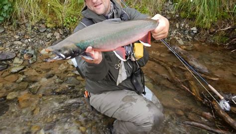 Dolly Varden Trout – Troutster.com – Fly Fishing Tips and Tactics