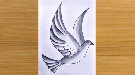 Flying Bird Pencil Drawing