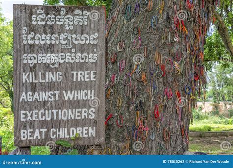 Killing Tree Against Which Executioners Beat Children. Cambodia ...