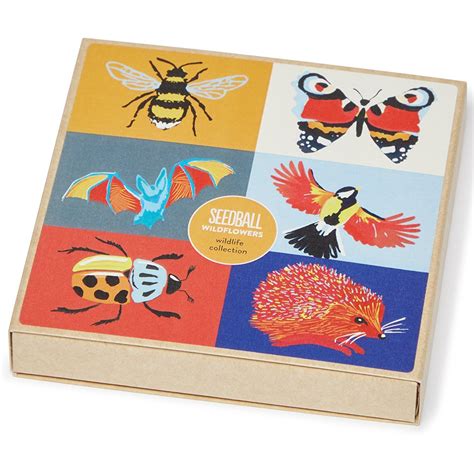 Seedball Wildlife Collection Seed Boxes - Seedball