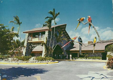 Vintage Travel Postcards: Parrot Jungle - Miami, Florida