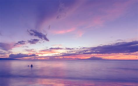 Purple Beach Wallpaper - WallpaperSafari