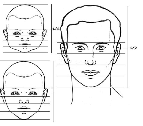 Drawing Face Proportions Kids