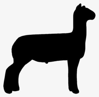 Show Sheep Silhouette Clipart , Free Transparent Clipart - ClipartKey