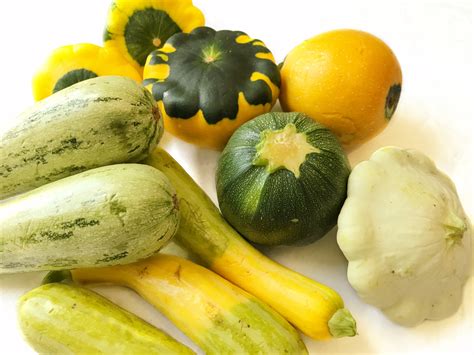 Edible Squash Varieties