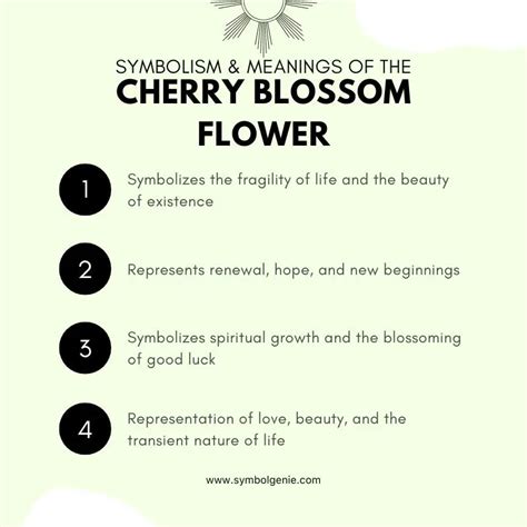 Cherry Blossom Flower: Symbolism, Meanings, and History - Symbol Genie