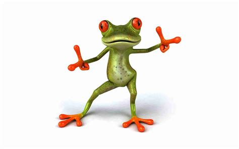 Funny Baby Animals Wallpapers Colorful Frog Cute Frogs Picture ...