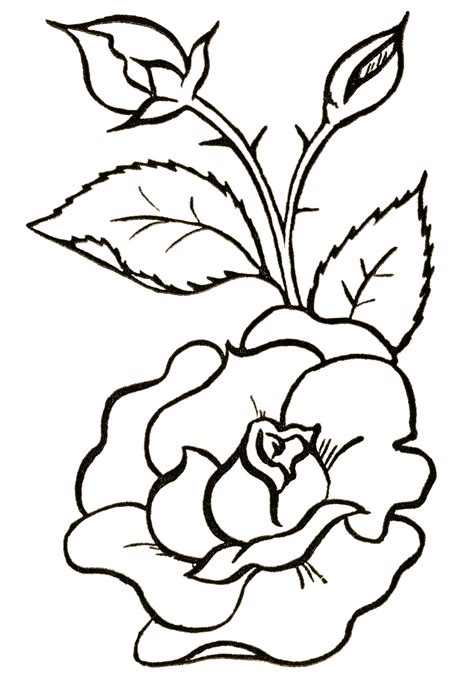 Flower Clipart Black And White Outline