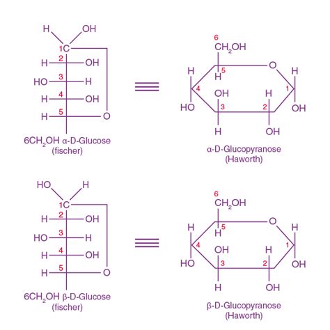 Glucose Structure - Understanding Different Forms, Open-Chain Formula, Configuration, Cyclic ...