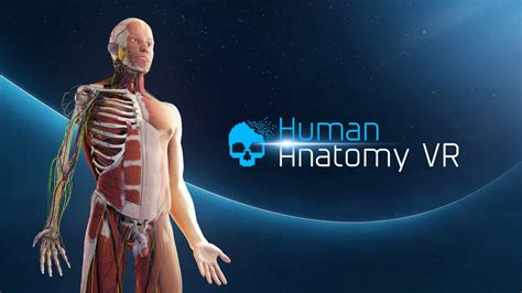 Human Anatomy VR - THE VR GRID