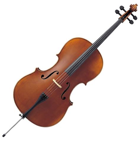 Cello 101: Introduction To Cello