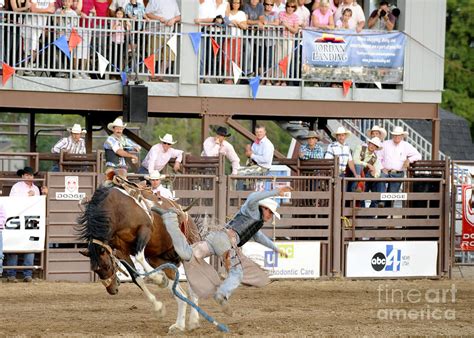 Bronc Riding Photograph by Dennis Hammer - Fine Art America