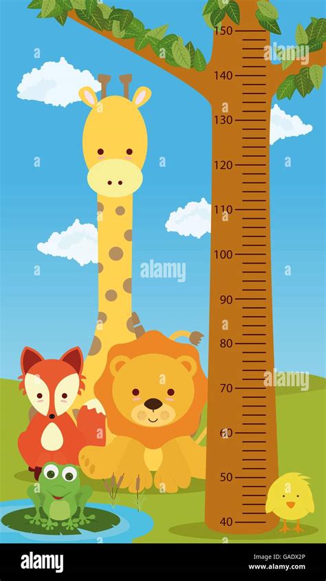 Height chart animals Stock Vector Image & Art - Alamy