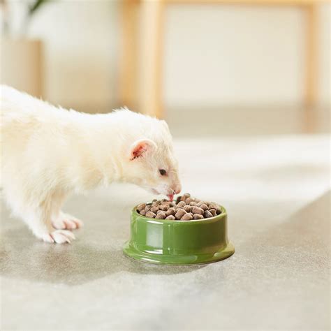 MAZURI Ferret Food, 25-lb bag - Chewy.com