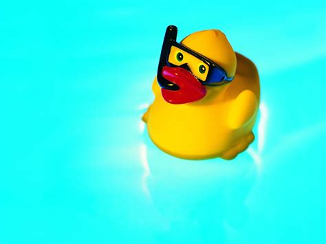 10 Top Rubber Duck Wall Paper FULL HD 1080p For PC Background 2020