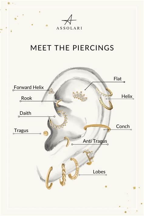 Cartilage Piercing Types Ear Piercings Chart, Ear Piercing Diagram, Types Of Ear Piercings ...